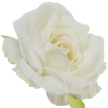 [68b13001] Róża główka wyrobowa 11cm śmietankowa