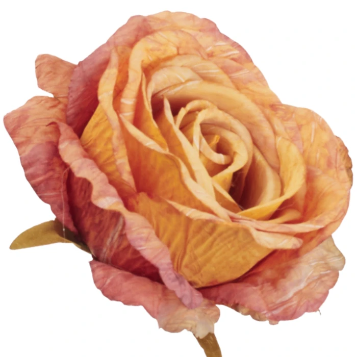 [68b13112] Róża główka wyrobowa 10cm pomarańczowo-żółta