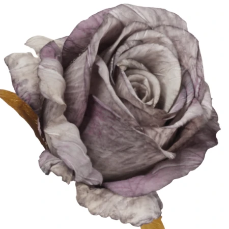 [68b13113] Róża główka wyrobowa 10cm fioletowa cieniowana