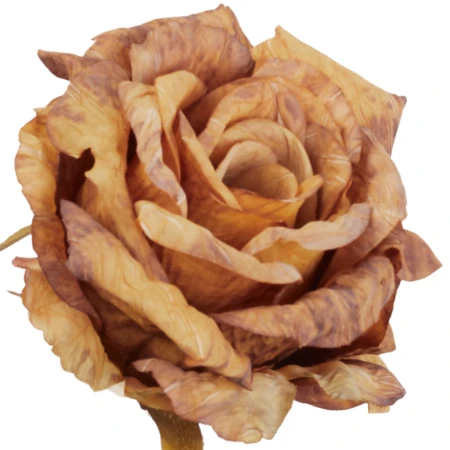[68b13314] Róża główka wyrobowa 12cm żółto-brązowa