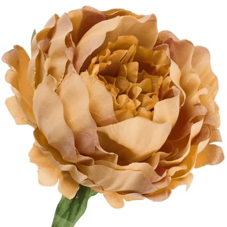 [68b8003] Główka kwiatowa peonia 14cm jasnokarmelowa