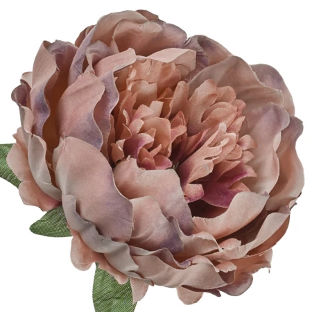 [68b8004] Główka kwiatowa peonia 14cm brzoskwiniowo-jagodowa