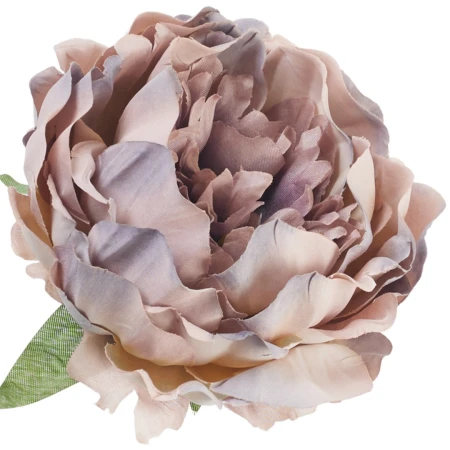 [68b8007] Główka kwiatowa peonia 14cm beżowo-jagodowa