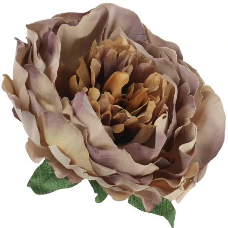 [68b8010] Główka kwiatowa peonia 14cm jagodowo-morelowa