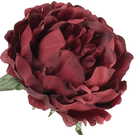 [68b8012] Główka kwiatowa peonia 14cm bordowa