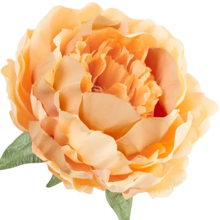 [68b8017] Główka kwiatowa peonia 14cm morelowo-brzoskwiniowa