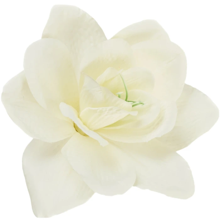[68b8101] Główka kwiatowa clivia 16cm śmietankowa
