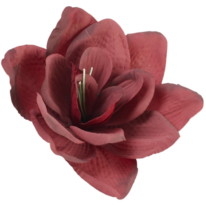 [68b8112] Główka kwiatowa clivia 16cm bordowa