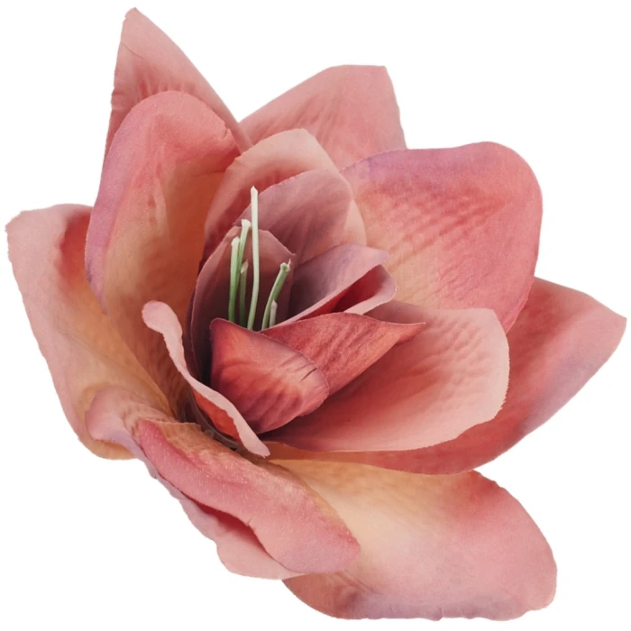 [68b8113] Główka kwiatowa clivia 16cm jagodowo-morelowa