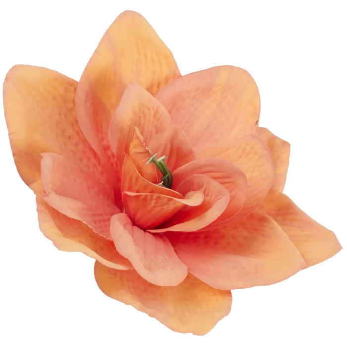 [68b8116] Główka kwiatowa clivia 16cm koralowo-morelowa