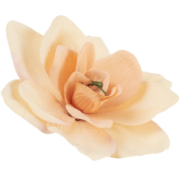 [68b8117] Główka kwiatowa clivia 16cm morelowa cieniowana