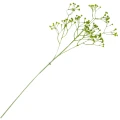 [68al8614] Gałązka kwiatowa gipsówka zielona 63cm