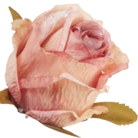 [68b12910] Róża jesienna pączek główka 9cm różowo-morelowa