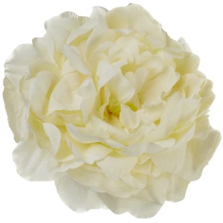 [68b13501] Główka kwiatowa peonia 14cm waniliowa