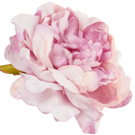 [68b13503] Główka kwiatowa peonia 14cm pudroworóżowa