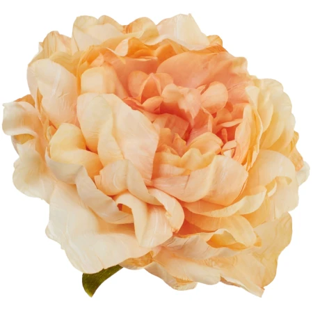[68b13508] Główka kwiatowa peonia 14cm morelowa cieniowana