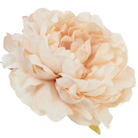[68b13509] Główka kwiatowa peonia 14cm beżowa