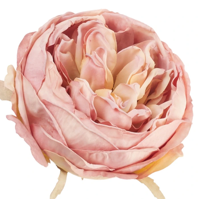 [68b13703] Główka kwiatowa peonia 10cm pudroworóżowa