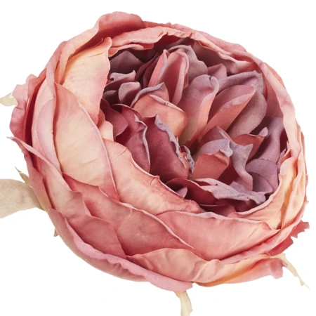 [68b13704] Główka kwiatowa peonia 10cm morelowo-jagodowa
