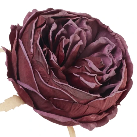 [68b13705] Główka kwiatowa peonia 10cm bordowo-śliwkowa
