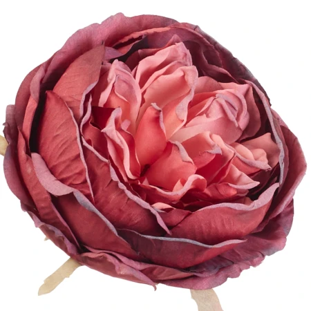[68b13706] Główka kwiatowa peonia 10cm bordowo-różowa