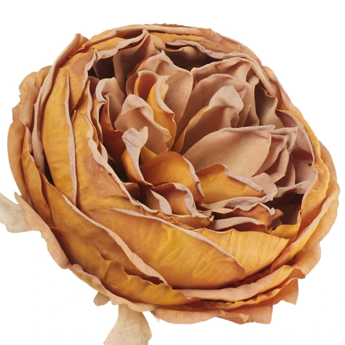 [68b13707] Główka kwiatowa peonia 10cm karmelowa