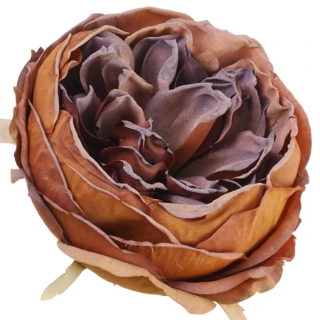 [68b13709] Główka kwiatowa peonia 10cm brązowa