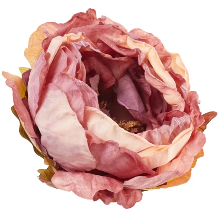 [68b13804] Główka kwiatowa peonia 10cm morelowo-jagodowa
