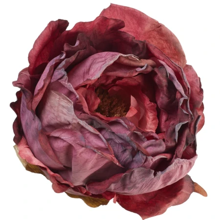 [68b13806] Główka kwiatowa peonia 10cm bordowo-różowa