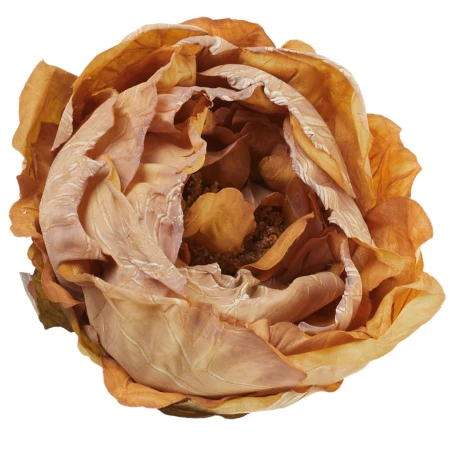 [68b13807] Główka kwiatowa peonia 10cm karmelowo-miodowa