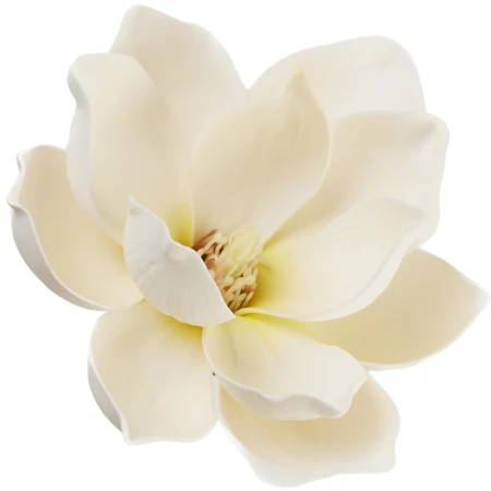 [68b14801] Główka kwiatowa magnolia piankowa 13cm śmietankowo-cytrynowa