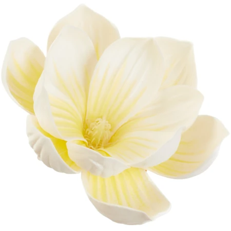 [68b9901] Główka kwiatowa magnolia piankowa 12cm śmietankowo-cytrynowa