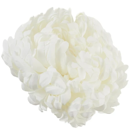 [68d0171] Chryzantema główka pełna 14cm biała