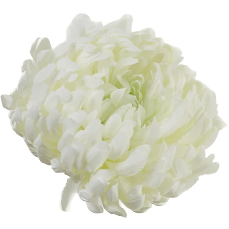 [68d0174] Chryzantema główka pełna 14cm biało-seledynowa