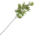 [68al14903] Gałązka jesienna klon palmowy 112cm zielony
