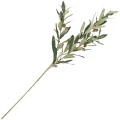 [68al15101] Gałązka zielona oliwnik 57cm