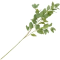 [68al15301] Gałązka zielona eukaliptus 95cm