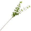 [68al15502] Gałązka eukaliptus potrójny zielony 78cm