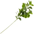 [68al8401] Gałązka liściasta laurowiśnia zielona 73cm