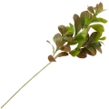 [68al8402] Gałązka liściasta laurowiśnia zielono- brązowa 73cm