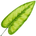 [68s64801] Liść dekoracyjny zielony z jasnozielonym środkiem 51cm