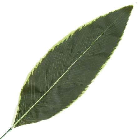 [68s66501] Liść dekoracyjny ciemnozielony 64cm
