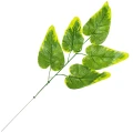 [68s54701] Gałązka zielono- żółtych liści 55cm