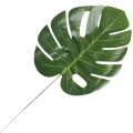 [68s75701] Liść dekoracyjny monstera zielony