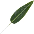 [68s76501] Liść strelicji ciemnozielony 56cm