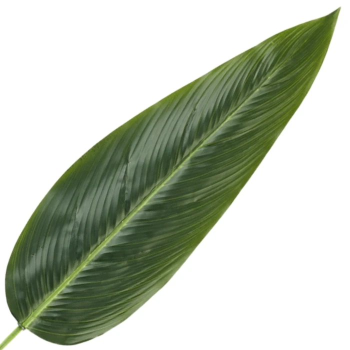[68s76601] Liść strelicji zielony 60cm