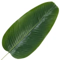 [68s76702] Liść bananowca ciemnozielony PREMIUM 64cm