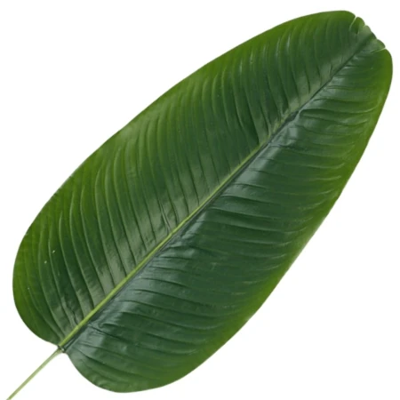 [68s76702] Liść bananowca ciemnozielony PREMIUM 64cm