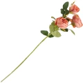 [68a10812] Potrójna gałązka peonii pomarańczowa 65cm
