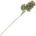 [68al1121] Gałązka jesiennej hortensji zielona 61cm